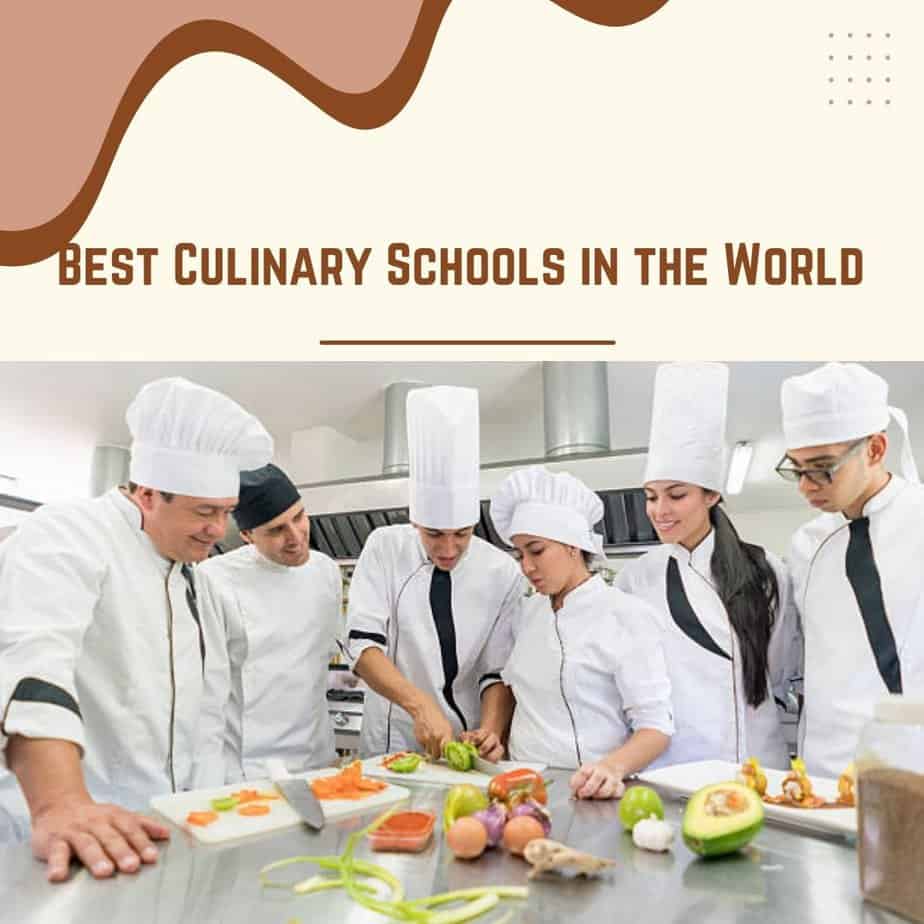 25 trường dạy nấu ăn tốt nhất thế giới - Xếp hạng hàng đầu vào năm 2022